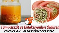Vücuttaki Enfeksiyonu Ve Parazitleri Öldüren En Güçlü Doğal Antibiyotik